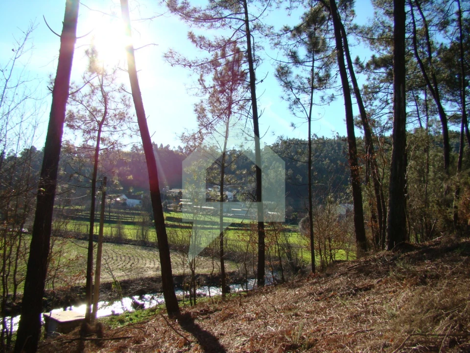 Terreno Agricola ou Rústico para Venda em Cossourado Foto 44