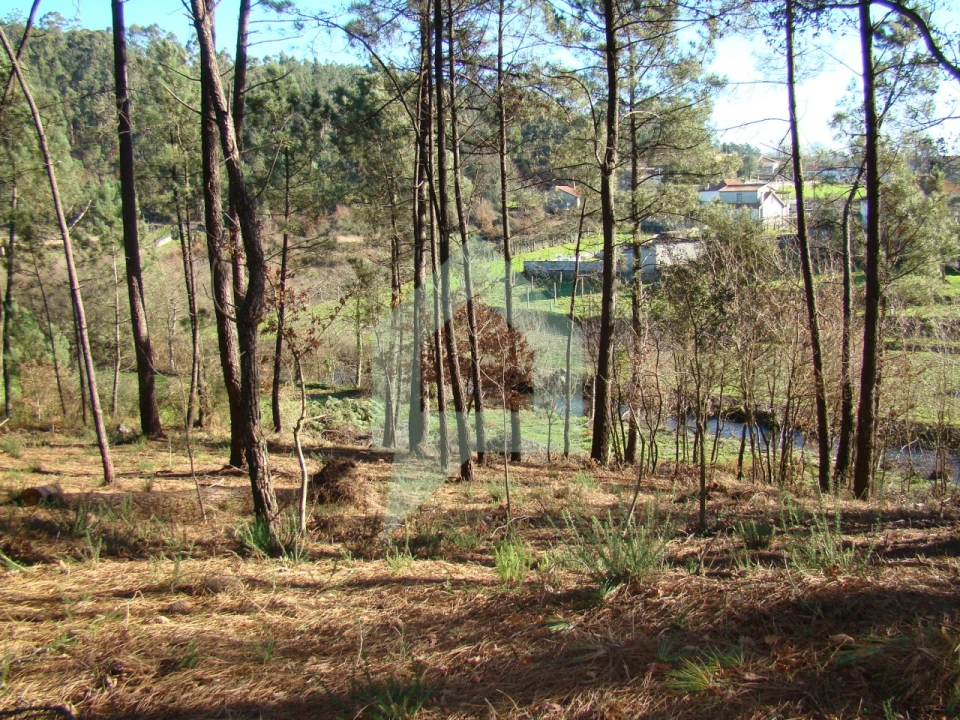 Terreno Agricola ou Rústico para Venda em Cossourado Foto 45