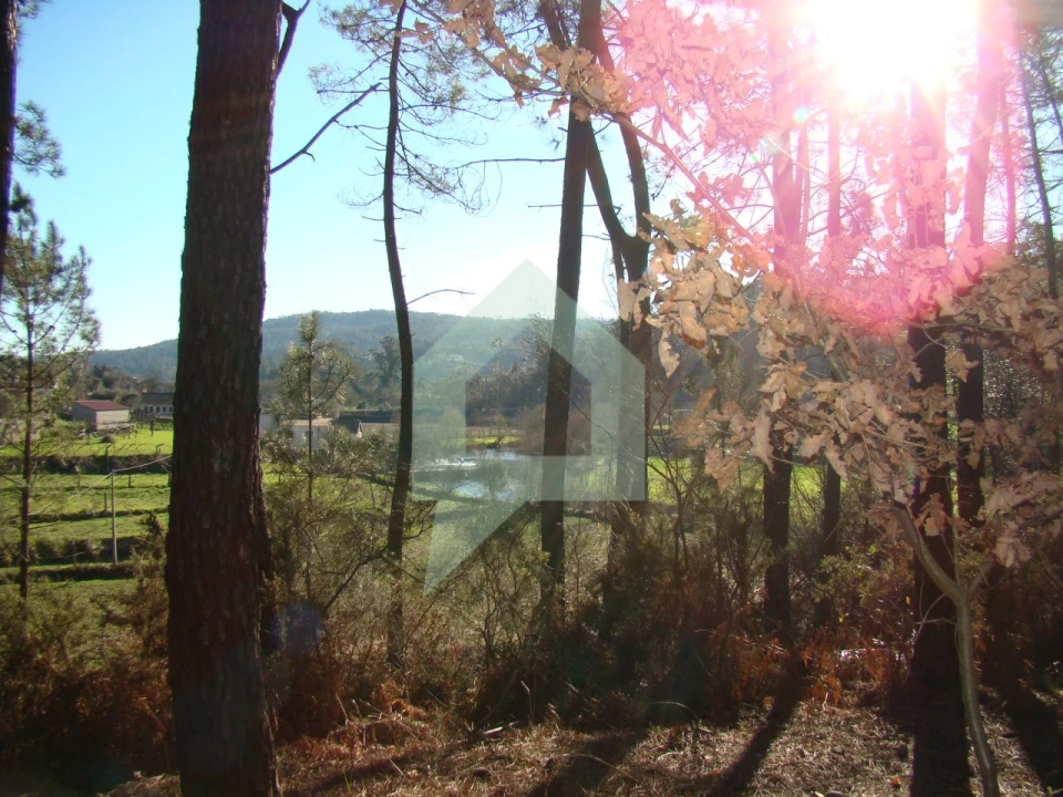 Terreno Agricola ou Rústico para Venda em Cossourado Foto 47