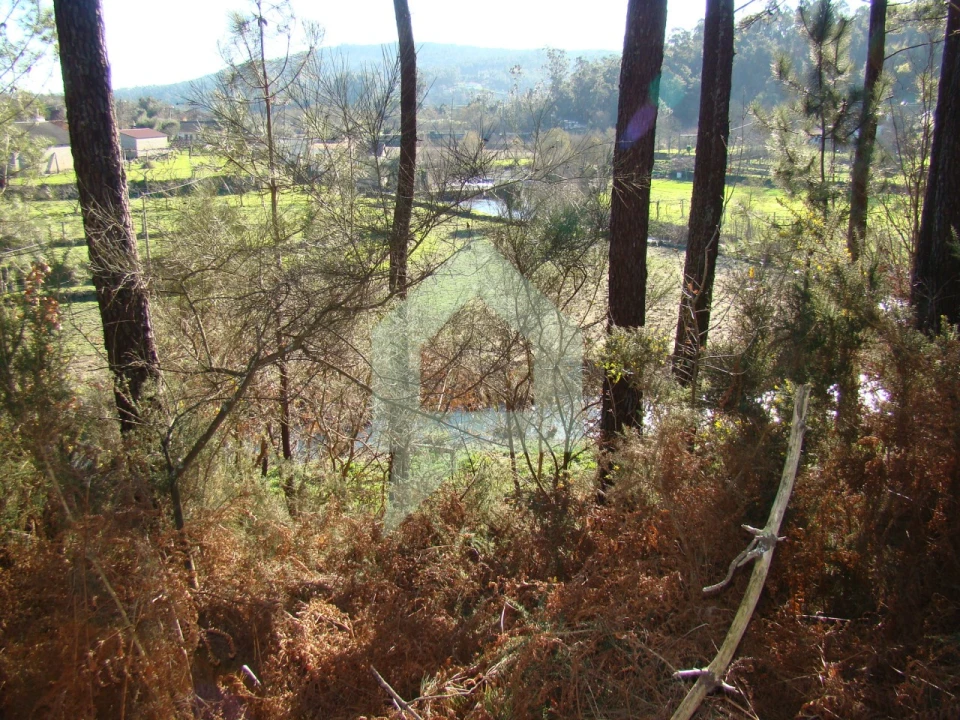 Terreno Agricola ou Rústico para Venda em Cossourado Foto 49