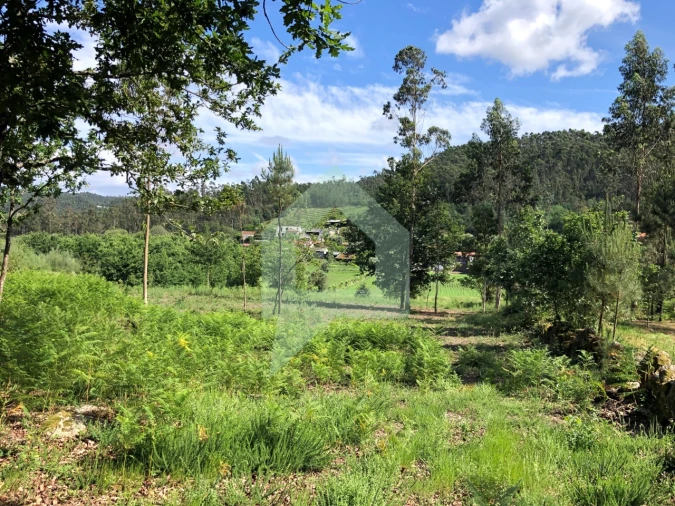 Terreno Agricola ou Rústico para Venda em Cossourado Foto 9