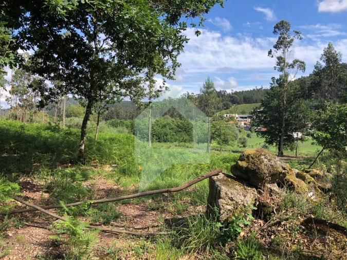 Terreno Agricola ou Rústico para Venda em Cossourado Foto 10