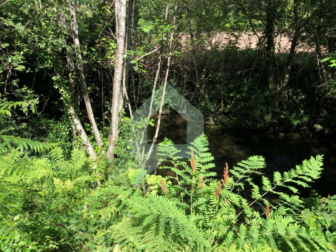 Terreno Agricola ou Rústico para Venda em Cossourado Foto 19