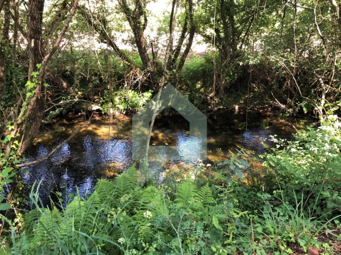 Terreno Agricola ou Rústico para Venda em Cossourado Foto 20