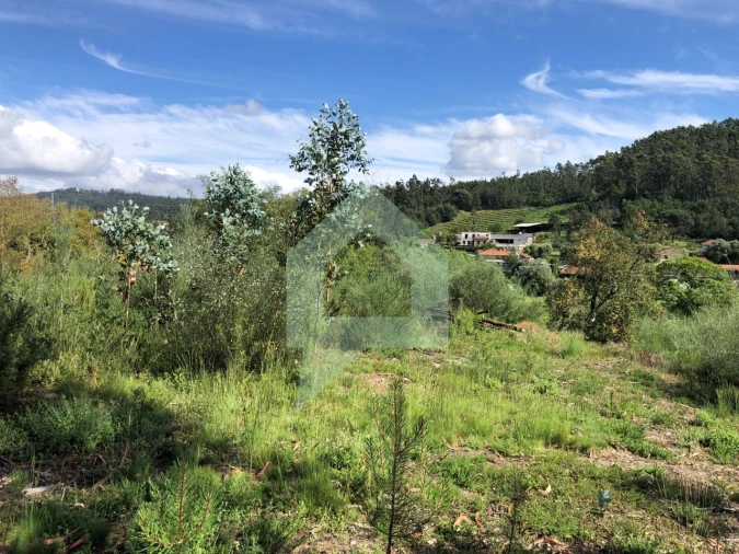 Terreno Agricola ou Rústico para Venda em Cossourado Foto 25