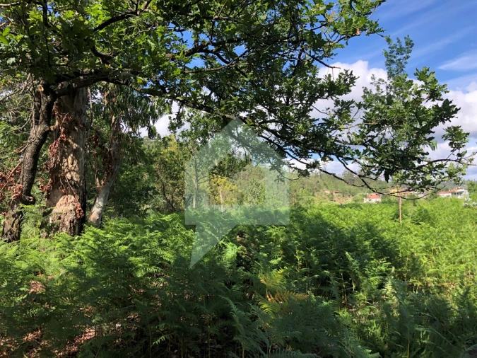 Terreno Agricola ou Rústico para Venda em Cossourado Foto 27
