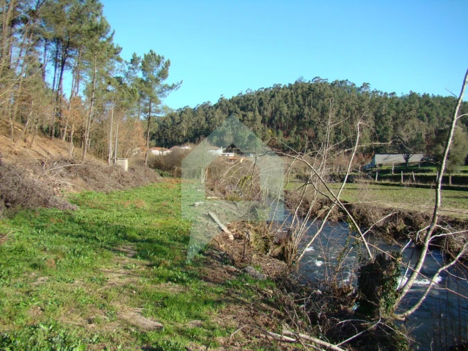 Terreno Agricola ou Rústico para Venda em Cossourado Foto 2
