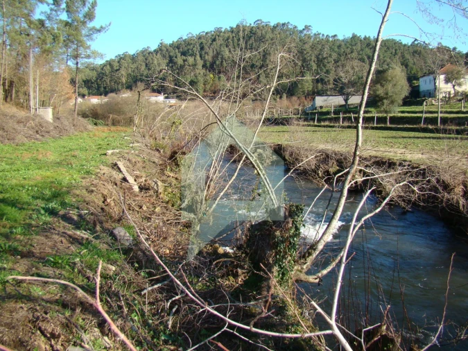 Terreno Agricola ou Rústico para Venda em Cossourado Foto 5