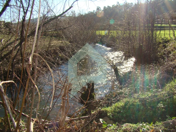 Terreno Agricola ou Rústico para Venda em Cossourado Foto 6