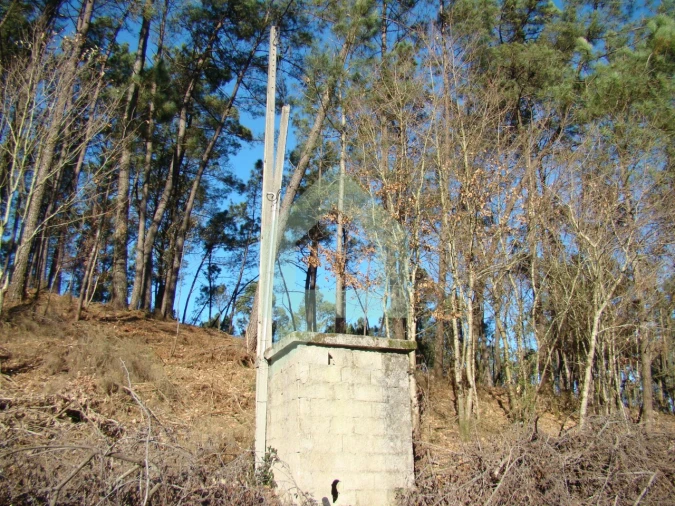 Terreno Agricola ou Rústico para Venda em Cossourado Foto 37