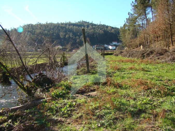 Terreno Agricola ou Rústico para Venda em Cossourado Foto 38