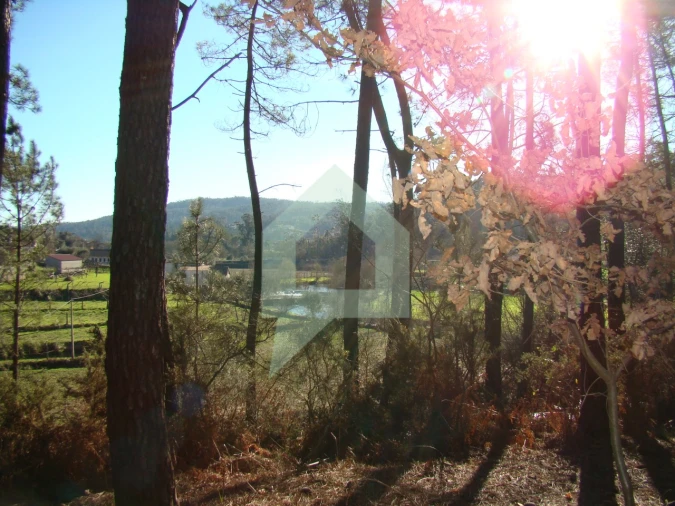 Terreno Agricola ou Rústico para Venda em Cossourado Foto 47