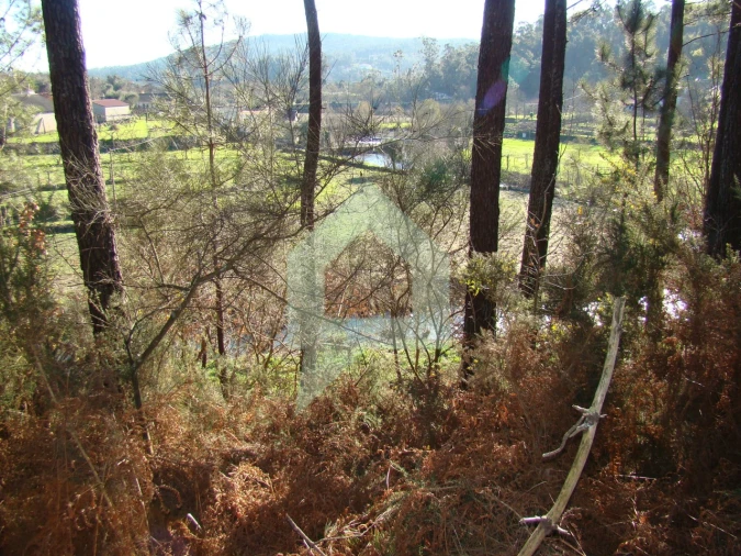 Terreno Agricola ou Rústico para Venda em Cossourado Foto 49