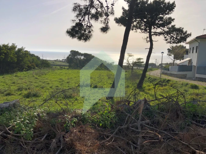 Terreno Agricola ou Rústico para Venda em Moledo e Cristelo Foto 3