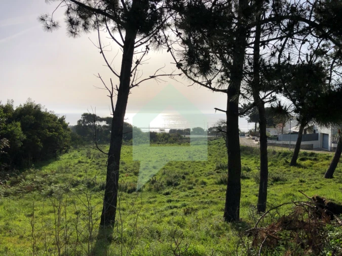 Terreno Agricola ou Rústico para Venda em Moledo e Cristelo Foto 7