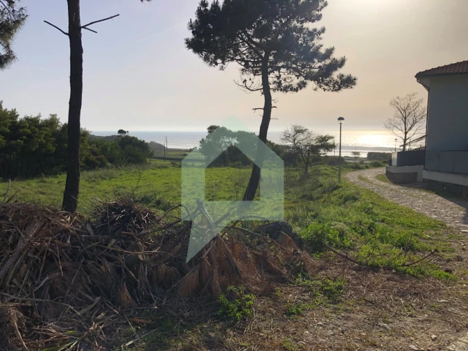 Terreno Agricola ou Rústico para Venda em Moledo e Cristelo Foto 8