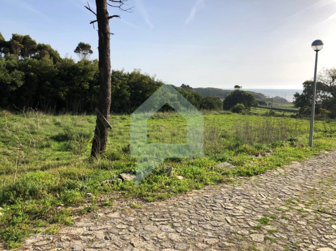 Terreno Agricola ou Rústico para Venda em Moledo e Cristelo Foto 10