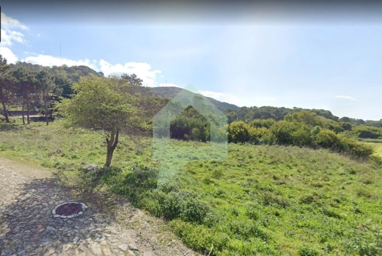 Terreno Agricola ou Rústico para Venda em Moledo e Cristelo Foto 2