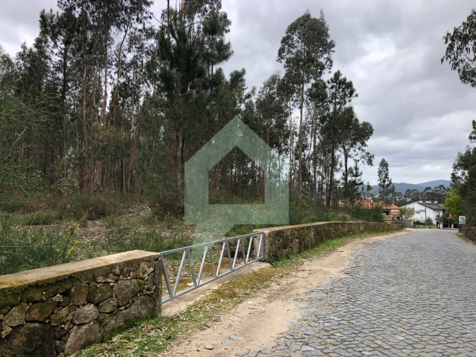 Terreno para Venda em Alvelos Foto 8