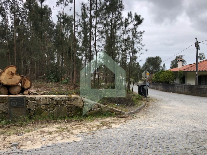 Terreno para Venda em Alvelos Foto 10