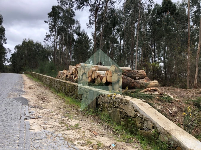Terreno para Venda em Alvelos Foto 11