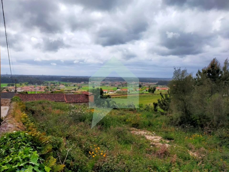 Terreno para Venda em Milhazes, Vilar de Figos e Faria Foto 14