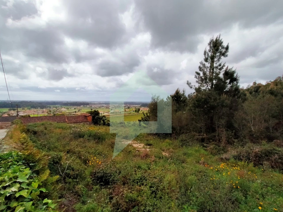 Terreno para Venda em Milhazes, Vilar de Figos e Faria Foto 16
