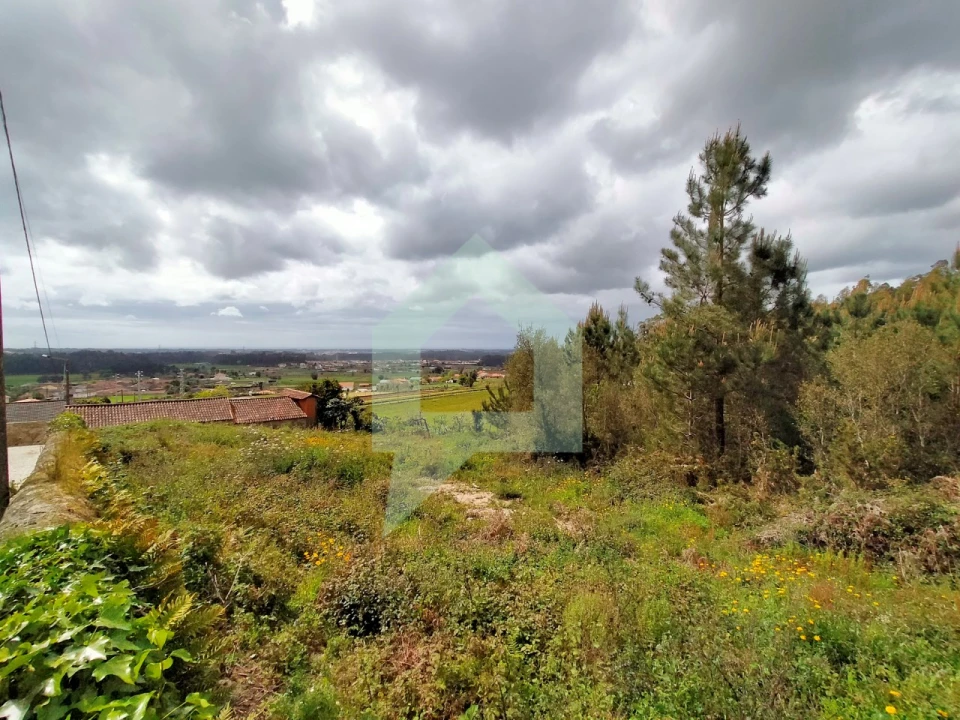 Terreno para Venda em Milhazes, Vilar de Figos e Faria Foto 21