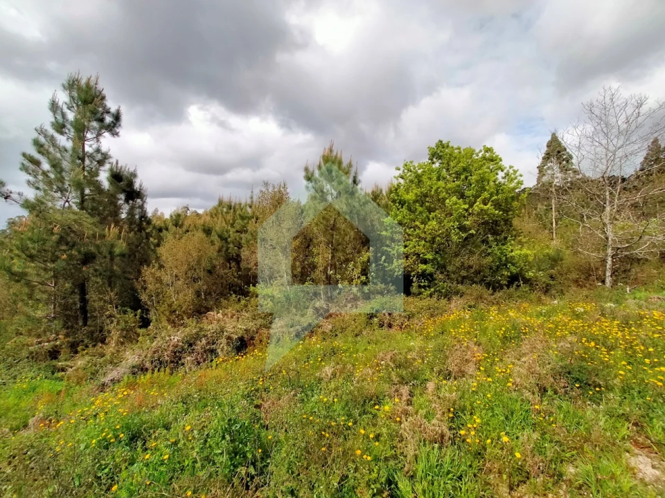 Terreno para Venda em Milhazes, Vilar de Figos e Faria Foto 5