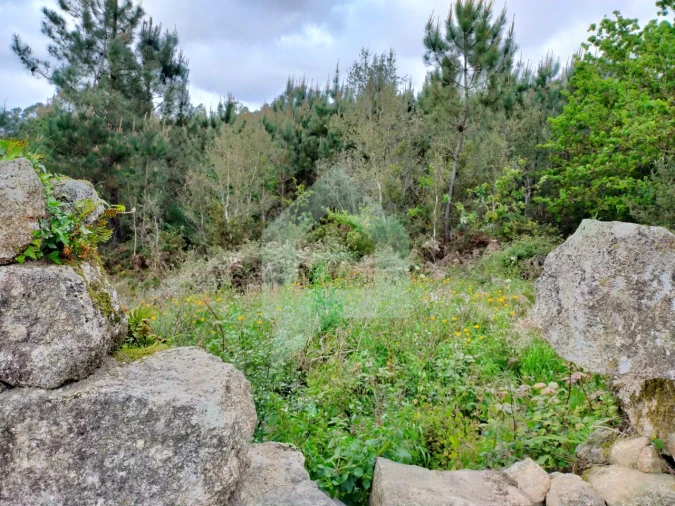 Terreno para Venda em Milhazes, Vilar de Figos e Faria Foto 3