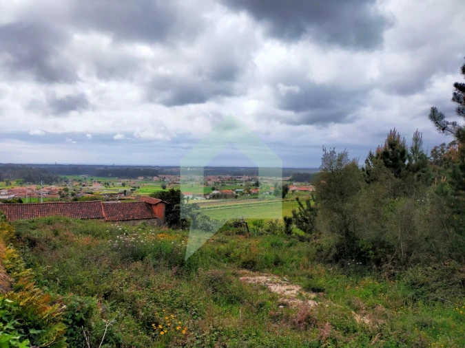 Terreno para Venda em Milhazes, Vilar de Figos e Faria Foto 10