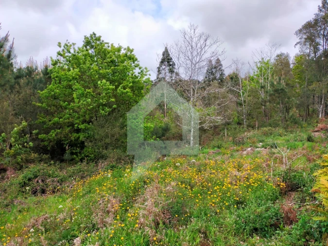 Terreno para Venda em Milhazes, Vilar de Figos e Faria Foto 4
