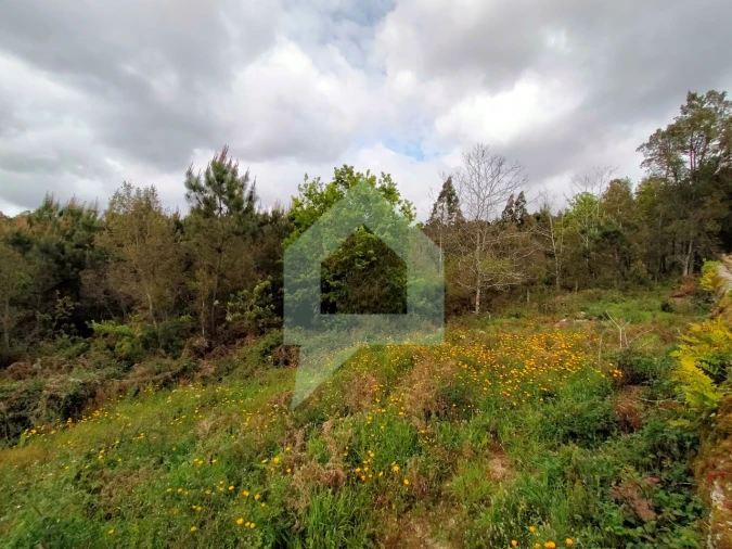 Terreno para Venda em Milhazes, Vilar de Figos e Faria Foto 17
