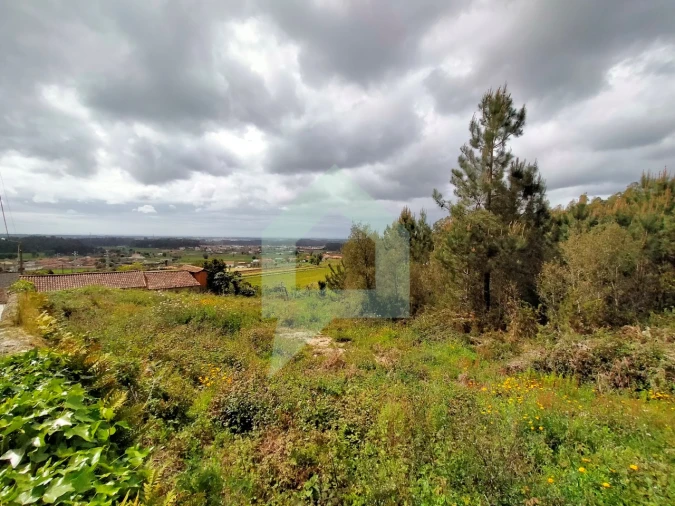 Terreno para Venda em Milhazes, Vilar de Figos e Faria Foto 22