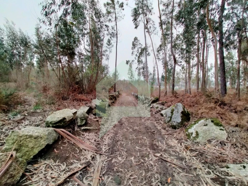 Terreno Agricola ou Rústico para Venda em Silveiros e Rio Covo (Santa Eulália) Foto 7