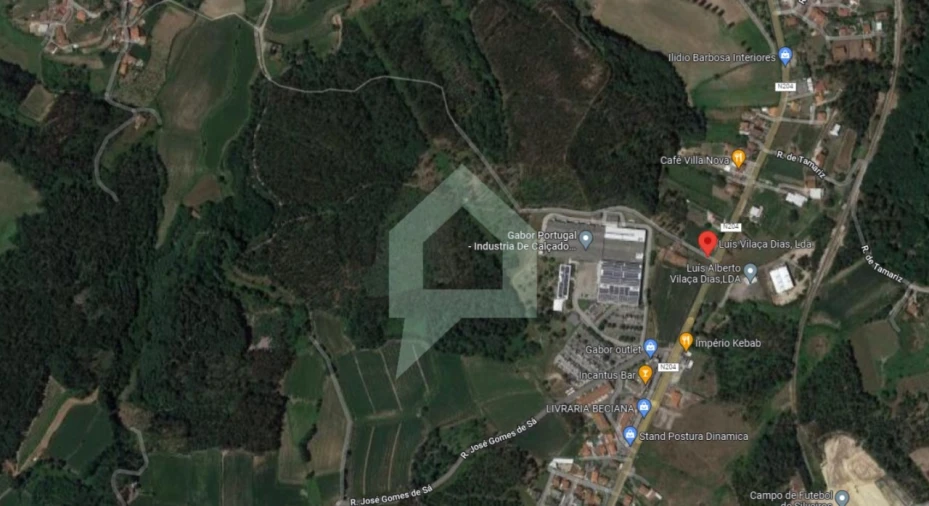 Terreno Agricola ou Rústico para Venda em Silveiros e Rio Covo (Santa Eulália) Foto 16