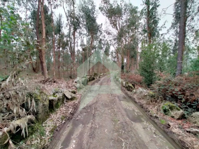 Terreno Agricola ou Rústico para Venda em Silveiros e Rio Covo (Santa Eulália) Foto 6