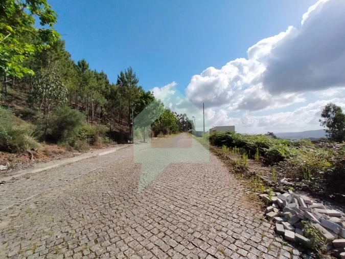Terreno para Venda em Tamel (Santa Leocádia) e Vilar do Monte Foto 6