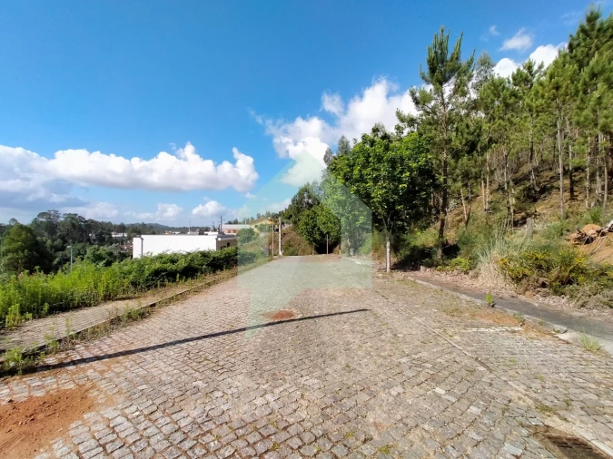 Terreno para Venda em Tamel (Santa Leocádia) e Vilar do Monte Foto 8
