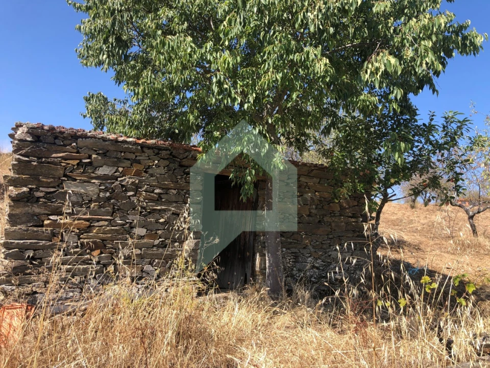 Terreno para Venda em Vila Nova de Foz Côa Foto 3