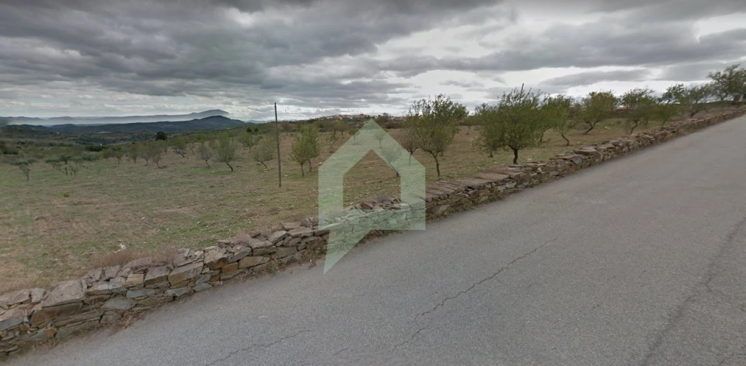 Terreno para Venda em Vila Nova de Foz Côa Foto 11