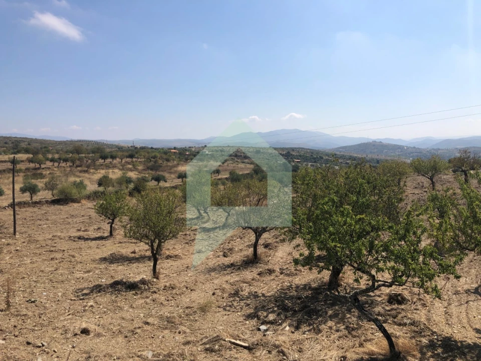 Terreno para Venda em Vila Nova de Foz Côa Foto 15