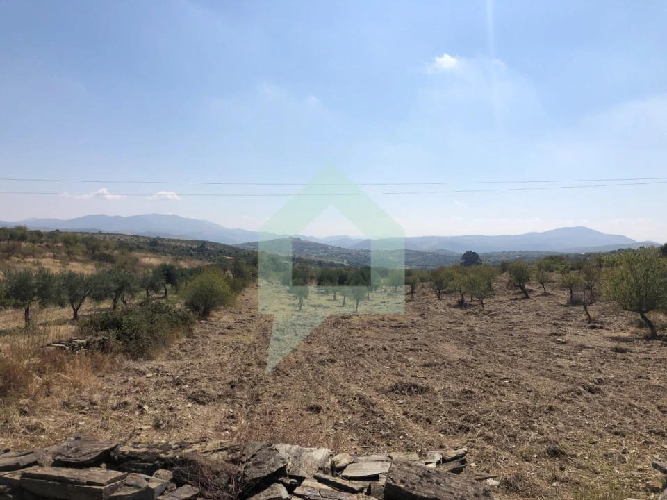 Terreno para Venda em Vila Nova de Foz Côa Foto 16