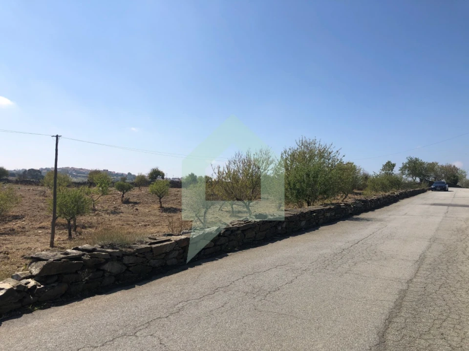 Terreno para Venda em Vila Nova de Foz Côa Foto 17