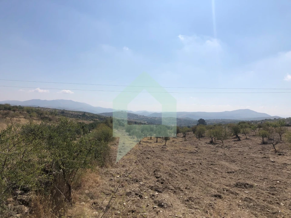 Terreno para Venda em Vila Nova de Foz Côa Foto 18