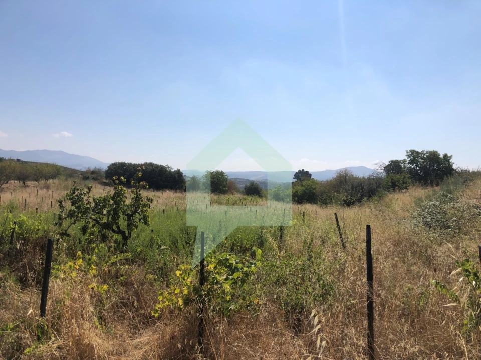 Terreno para Venda em Vila Nova de Foz Côa Foto 24