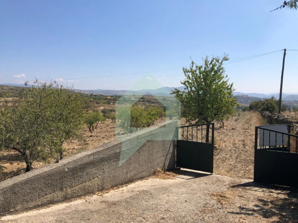 Terreno para Venda em Vila Nova de Foz Côa Foto 30