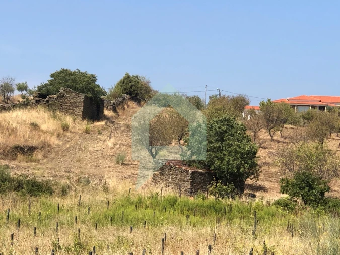 Terreno para Venda em Vila Nova de Foz Côa Foto 1