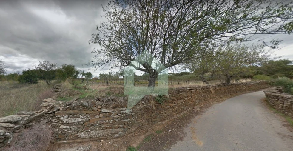 Terreno para Venda em Vila Nova de Foz Côa Foto 7