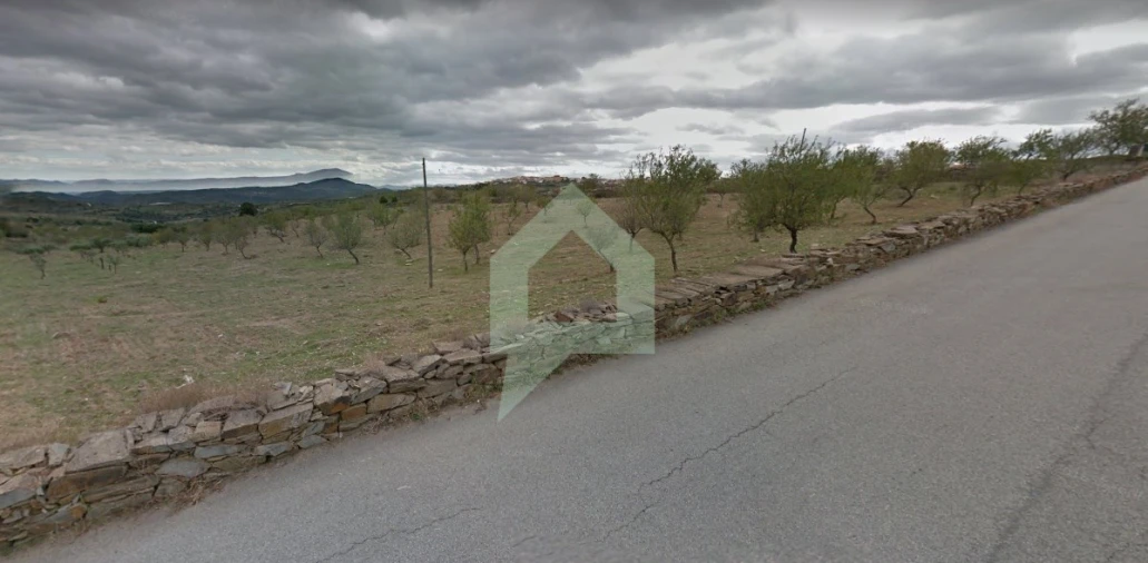 Terreno para Venda em Vila Nova de Foz Côa Foto 11
